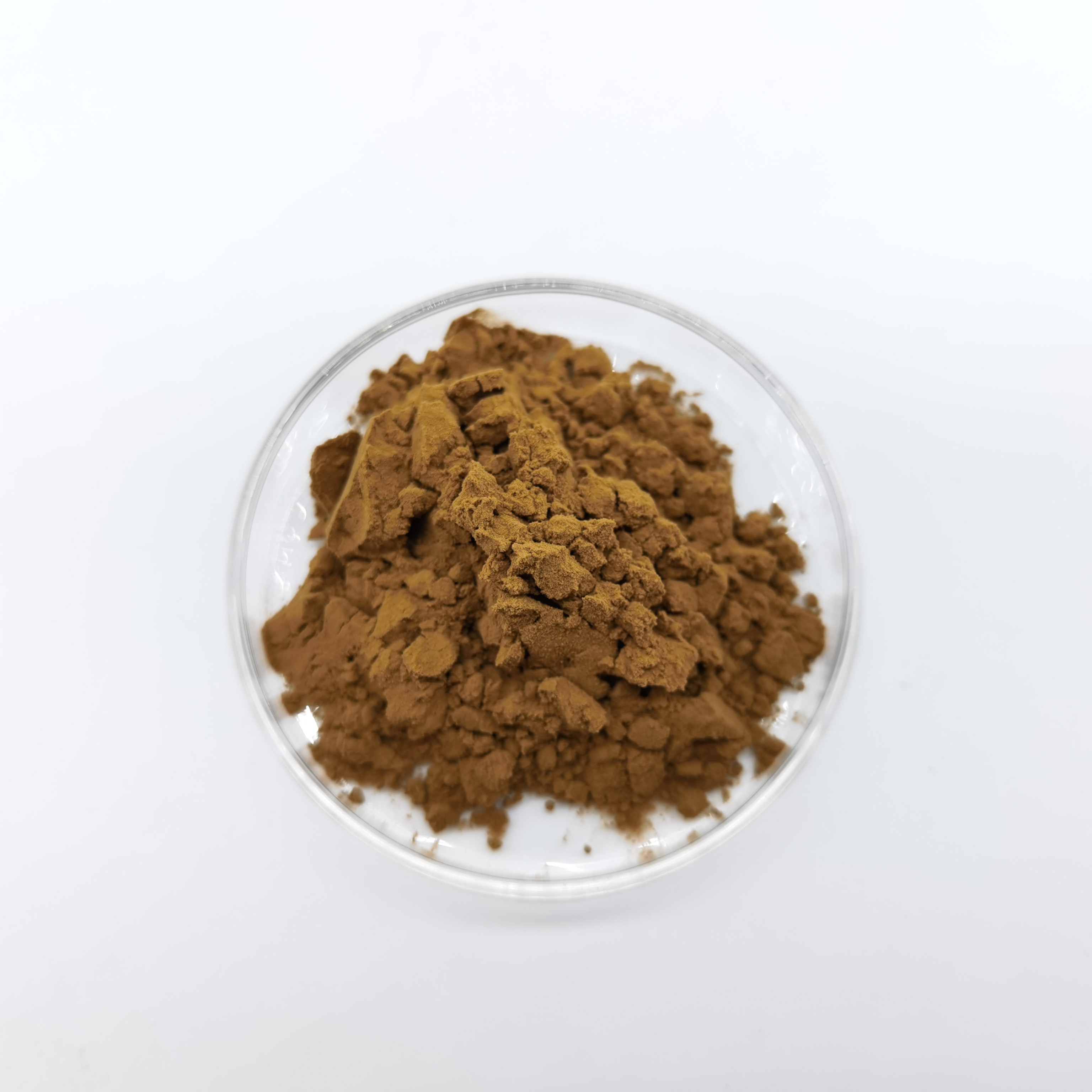 Polvo de extracto de flor de equinácea purpurea natural puro con alta calidad